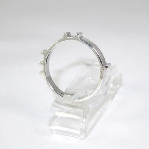 Silver ring counter for lane swimming